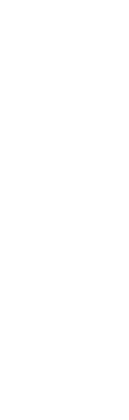 shape-right-section-04